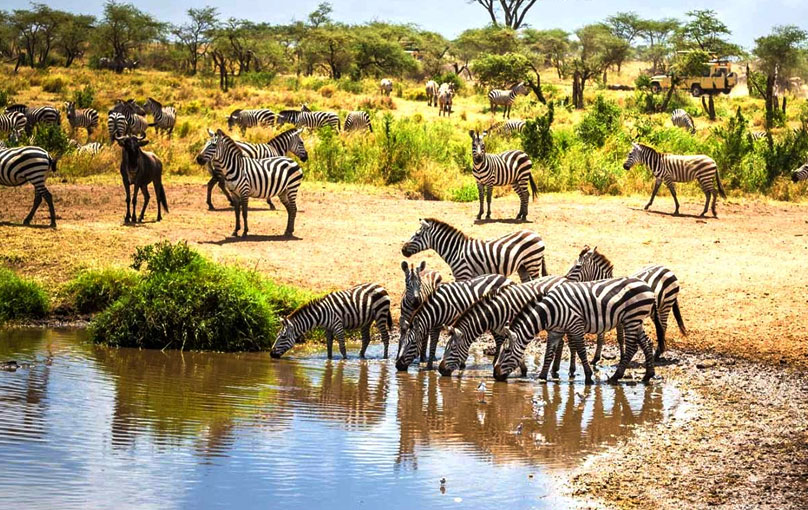 Six-Days-Tanzania-Luxury-Safari